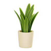 vibrante verdor de un en conserva serpiente planta para hogar decoración. 3d hacer png