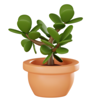 Elegant Greenery Realistic Jade Plant Pot for Stylish Interior Decor. 3D Render png