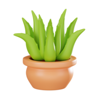 Green Elegance of Aloe Vera Pot, Symbol of Health and Beauty. 3D Render png