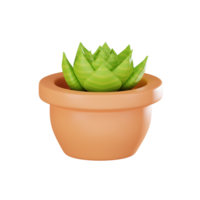 Elegant Greenery of Succulent Plant for Home and Office Decor. 3D Render png