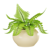 Green Elegance Fern Pot for Natural Home Decor. 3D Render png