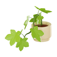 frodig grönska murgröna växt pott för interiör dekoration. 3d framställa png