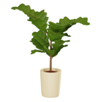 Elegant Greenery Fiddle Leaf Fig in Pot for Stylish Home Decor. 3D Render png