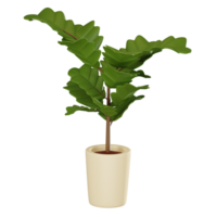 élégant verdure violon feuille figure dans pot pour élégant Accueil décor. 3d rendre png