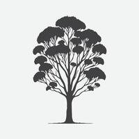 Print Majestic Eucalyptus Tree Silhouette, Capturing Nature's Grace and Elegance vector