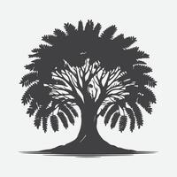 Print Enchanting Mimosa Tree Silhouette, A Perfect Blend of Elegance and Serenity vector