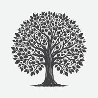 impresión majestuoso nuez árbol silueta, de la naturaleza arte en negro y blanco vector