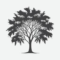 Print Enchanting Mimosa Tree Silhouette, A Perfect Blend of Elegance and Serenity vector