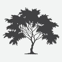 Print Enchanting Mimosa Tree Silhouette, A Perfect Blend of Elegance and Serenity vector