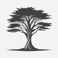 Print Majestic Cypress Tree Silhouette, A Stunning Natural Masterpiece vector