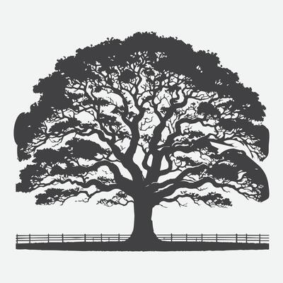 Print Majestic Pecan Tree Silhouette, Nature's Timeless Shadow