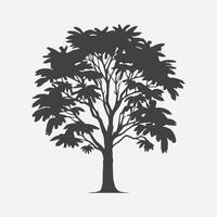Print Enchanting Mimosa Tree Silhouette, A Perfect Blend of Elegance and Serenity vector