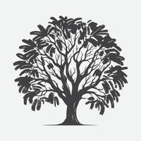 Print Enchanting Mimosa Tree Silhouette, A Perfect Blend of Elegance and Serenity vector