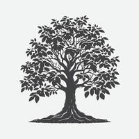 impresión majestuoso nuez árbol silueta, de la naturaleza arte en negro y blanco vector