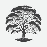 impresión majestuoso eucalipto árbol silueta, capturar de la naturaleza gracia y elegancia vector