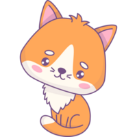 Cute animal cat png