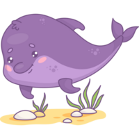 Cute cartoon dolphin png