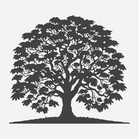 Print Majestic Catalpa Tree Silhouette, Nature's Intricate Shadow Art vector
