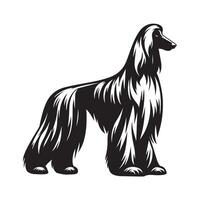 Protective Afghan Hound Illustration in black and white vector