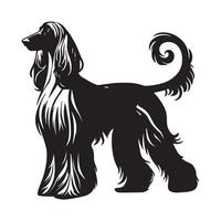 Dignified Afghan Hound Illustration in black and white vector