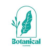 botanical logo design for graphic designer or flower store vector