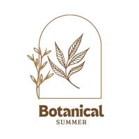 botanical logo design for graphic designer or flower store vector