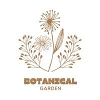 botanical logo design for graphic designer or flower store vector