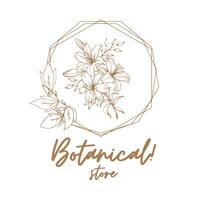 botanical logo design for graphic designer or flower store vector