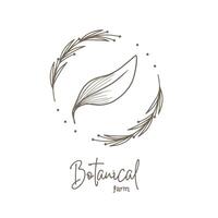 botanical logo design for graphic designer or flower store vector