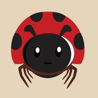 Ladybug with detailed illustration of light and shadow vector