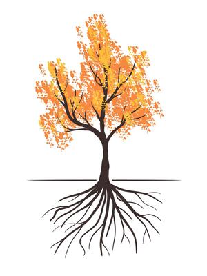 Autumn Tree with Roots and leaves illustration