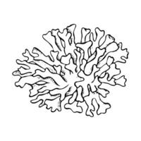 Coral line illustration for coloring Hand drawn monochrome underwater reef animal in black and white, sea and ocean polyp line drawing for marine and nautical design vector