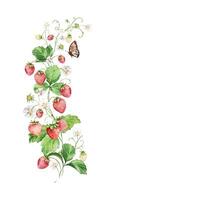 Watercolor strawberry bush with flowers and butterfly, summer il vector