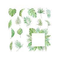 Watercolor tropical green leaves frame vector