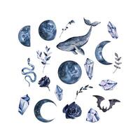 Watercolor boho moon set vector
