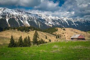 Spring pasture scenery and snowy mountain ridge, Transylvania, Romania photo