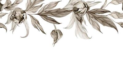 mano dibujado acuarela grisalla monocromo peonía tulipán ranúnculo flores, brotes y hojas. sin costura bandera aislado en blanco antecedentes. invitaciones, boda, fondo de pantalla, floral comercio, imprimir, textil vector
