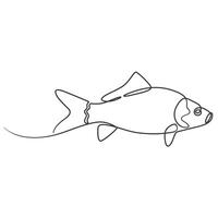 A carp fish is drawn in one line on a white background vector