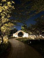 neture image on night mode photo
