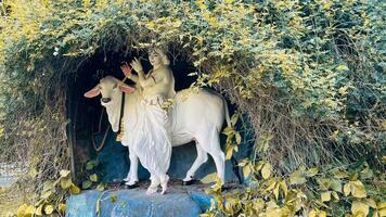 lord krishna stand with cow photo