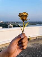 artificial rose in girl hand photo