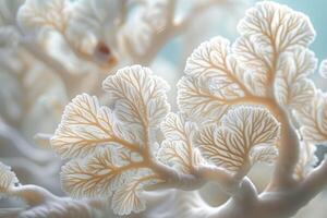 Close-up view of delicate coral branches bleaching. photo