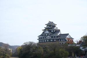 Okayama Castle or Crow Castle in Okayama Japan in Winter December photo