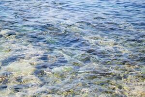 Sea Turtle Swimming across Crystal Sea Waters and Waves in Taiwan Xiaoliuqiu photo