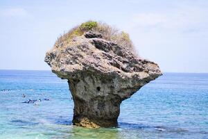 capturado paisajes marinos con gigante florero conformado rock en Taiwán liuqiu isla foto