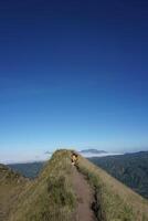 aventurero excursionista y mascota disfrutando majestuoso montaña sendero debajo claro cielo foto