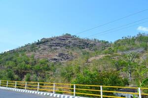 Scenic view of blue sky against green leaves photo