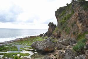 escénico ver de grande rocas, musgo y el mar foto