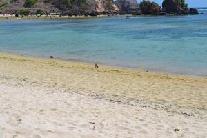 Scenic view of beach and sands at Kuta Beach, Lombok island photo