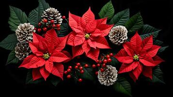 Christmas red poinsettia flowers with fir cones on black background photo